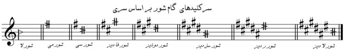 سر کلید دستگاه شور