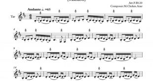 نت تار اسیر (از نگاهت عاقبت رخ بردم) برای نوازندگان متوسط | نت تار منوچهر چشم آذر