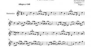 نت ساز دهنی سازدهنی Pat and Mat پت و مت برای نوازندگان متوسط | نت ساز دهنی پیتر اسکومال