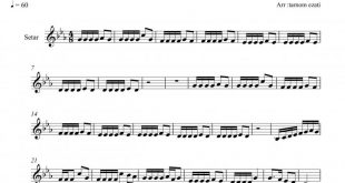 نت سه تار گل ارکیده برای نوازندگان متوسط | نت سه تار ایلیا منفرد